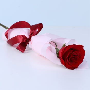 Single red rose hand bouquet elegantly wrapped as a romantic flower gift