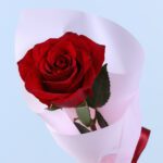 single-signature-red-rose-single-hand-bouquet_02