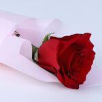 single-signature-red-rose-single-hand-bouquet_03