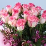 soft-pink-rose-luxury-box-with-ferrero-rocher-16-pcs_03
