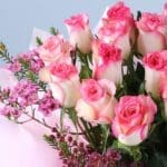 soft-pink-rose-luxury-box-with-ferrero-rocher-16-pcs_05