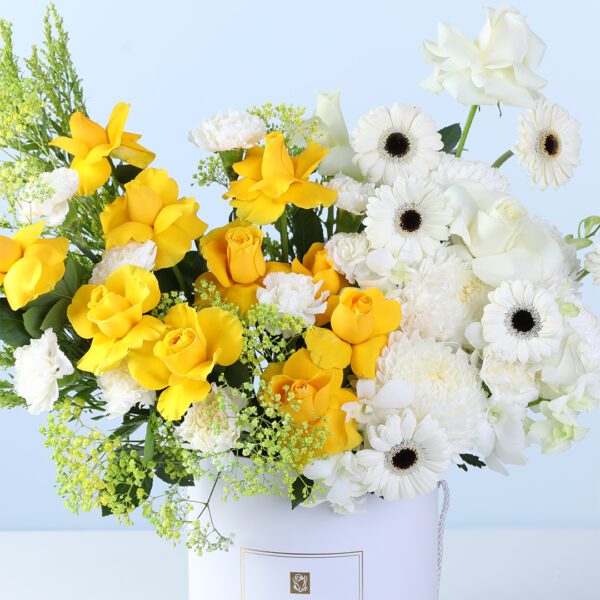 sunlit-elegance-mixed-flower-box-yellow-white_05