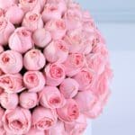 sweet-pink-rose-box-with-ferrero-rocher_03