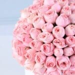 sweet-pink-rose-box-with-ferrero-rocher_04