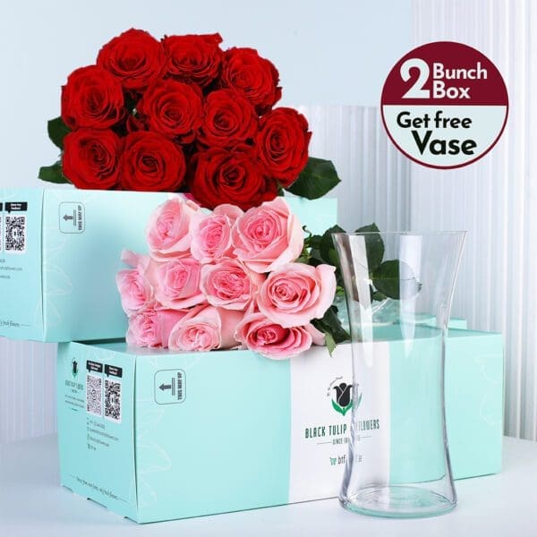 velvet-bloom-rose-duo-bunch Boxes of red and pink rose bunches displayed in mint packaging with an empty glass vase placed next to them.