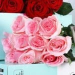 velvet-bloom-rose-duo-bunch_05