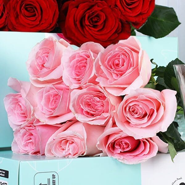 velvet-bloom-rose-duo-bunch_05