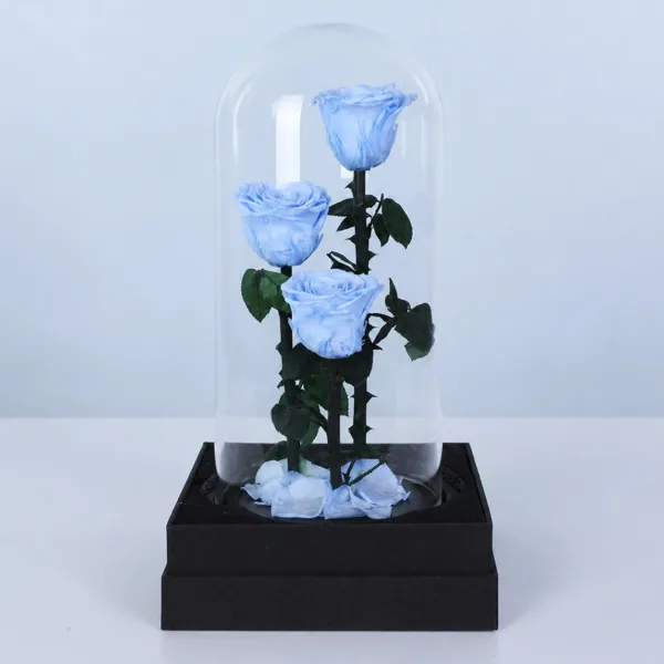 light-blue-trio-forever-rose_02_New
