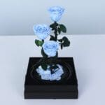 signature-light-blue-rose-trio_04