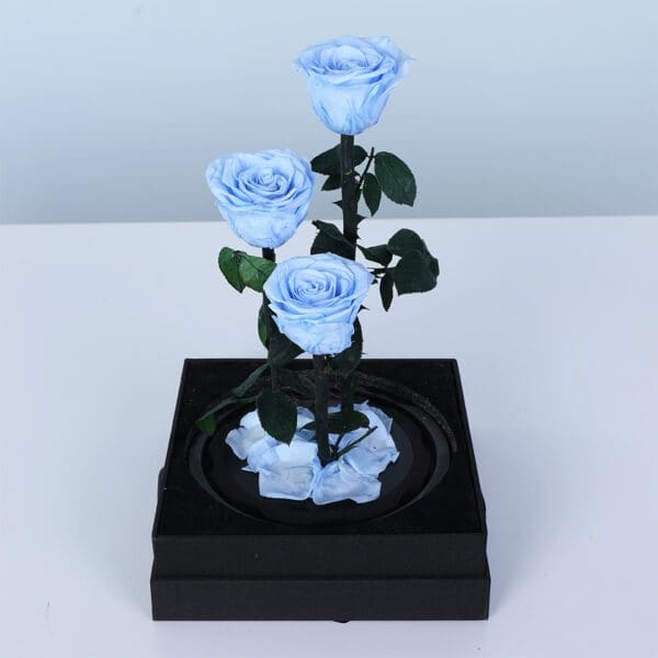signature-light-blue-rose-trio_04