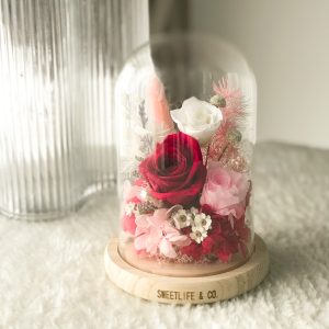 Preserved flowers A beautiful arrangement of preserved flowers in a glass dome, with a large vibrant red rose as the centerpiece, surrounded by smaller pink and white flowers, and some delicate pink foliage.