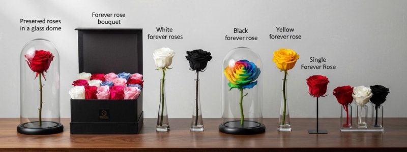 Different Types of Forever Roses