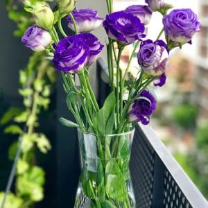 A clear glass vase, partially filled with water, holds a vibrant bouquet of purple lisianthus flowers.