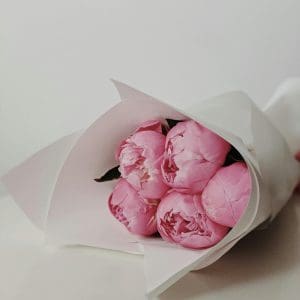 small bouquet of five delicate pink peonies is wrapped in soft, white tissue paper.